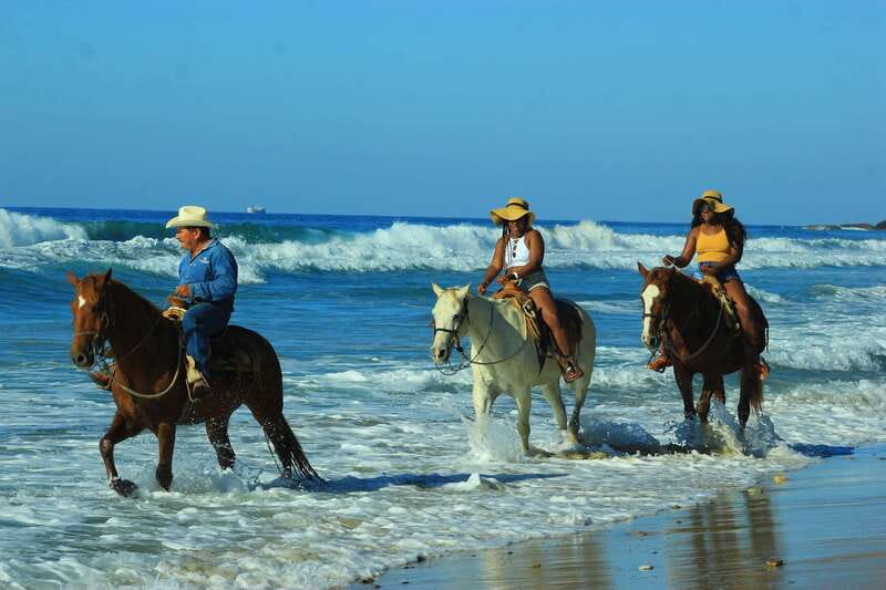 Punta de Mita/Sayulita: Horseback Riding Tour - Jungle Trails: Why the Ride Feels Relaxed (and What to Watch For)