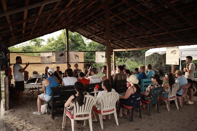 Release of Sea Turtles in Camp Tortuguero - Stop 2 at Playa Boca de Tomates: the environmental education session