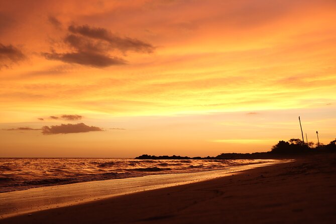 Release of Sea Turtles in Camp Tortuguero - The hatchling release on the beach: cute, emotional, and carefully done