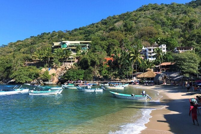 Remote Hidden Beaches Hike of South Shore (Puerto Vallarta) - Key points worth knowing before you go