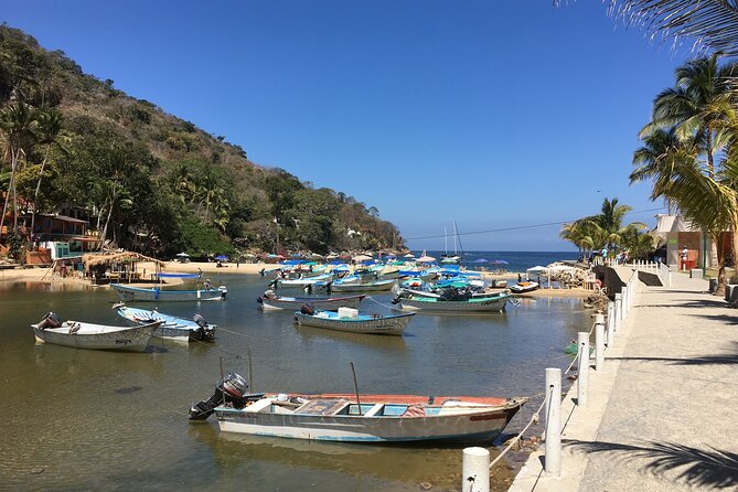 Remote Hidden Beaches Hike of South Shore (Puerto Vallarta) - Why Boca de Tomatlán to Las Animas feels different from a standard beach day