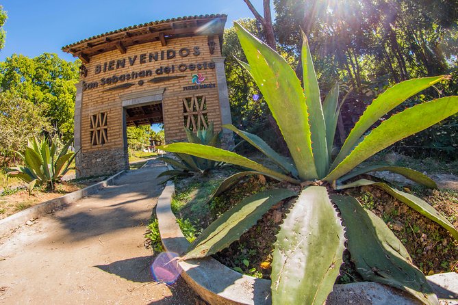 San Sebastian del Oeste - Rural Mexican Life: Agave, Cattle, and Everyday Rhythm