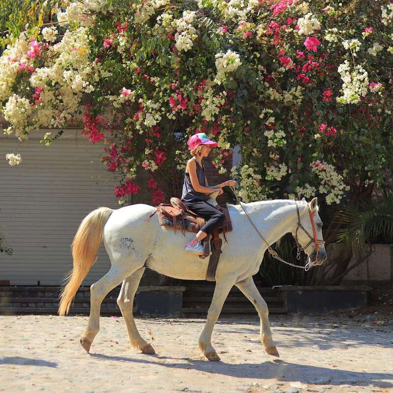 Sayulita: Horseback Riding Tour - Rancho Mi Chaparrita start: instructions, equipment, and your horse fit