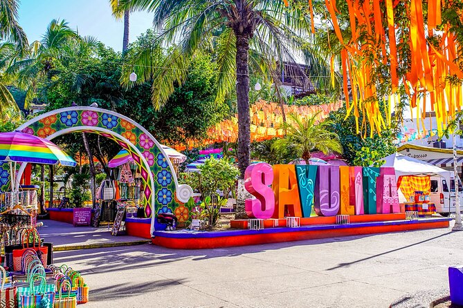 Sayulita & San Pancho: Private Day Trip from Puerto Vallarta - Key things I’d watch for before you go