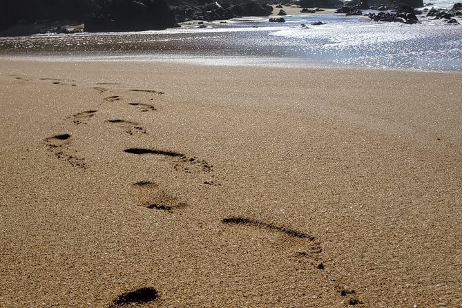 Sayulita Surfer Beach Town and Zarandeado with Seafood Grill - Beach Access Reality Check: Footwear, Terrain, and No Facilities