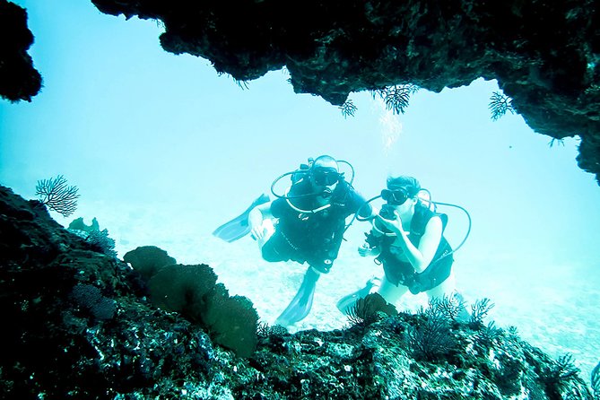 Scuba Diving Marietas Islands - Marietas Islands and Banderas Bay: what you’re actually buying
