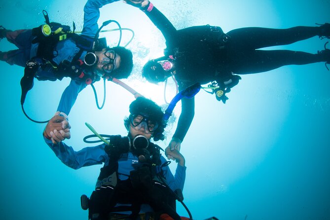 Scuba Diving Puerto Vallarta Undersea Arcos or Marietas - The Team and Instruction Style: What Makes People Relax