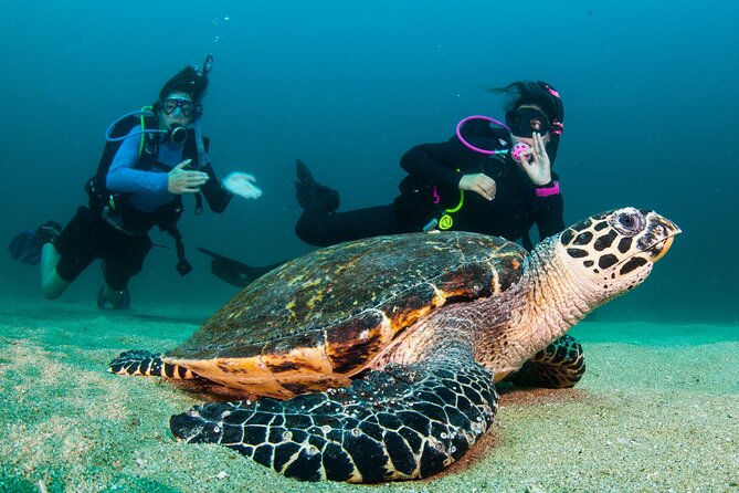 Scuba Diving Puerto Vallarta Undersea Arcos or Marietas - Equipment, Comfort, and Small “Bring This” Notes