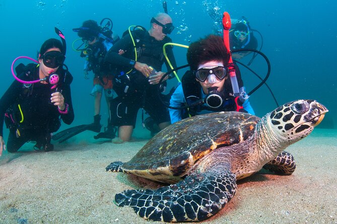 Scuba Diving Puerto Vallarta Undersea Arcos or Marietas - Stop 1: Islas Marietas and the Snorkel Lesson That Actually Helps