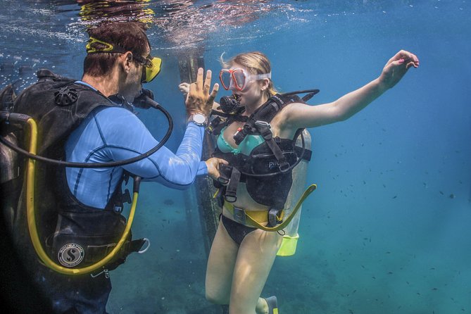 Scuba Diving with a 5-Star PADI Center in Puerto Vallarta - The underwater plan across Banderas Bay’s best-known sites