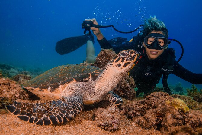 Scuba Diving with a 5-Star PADI Center in Puerto Vallarta - Who should book (and who should skip) this 2-tank program