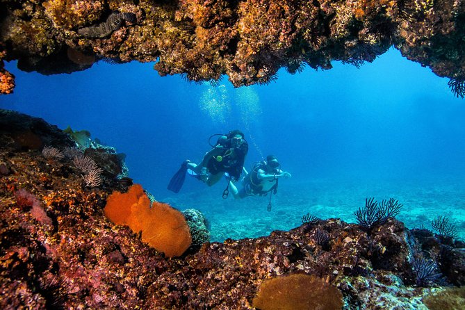Scuba Diving with a 5-Star PADI Center in Puerto Vallarta - The guide and crew effect: names, safety, and the human side