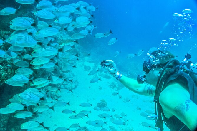 Scuba Diving with a 5-Star PADI Center in Puerto Vallarta - The 8:00 a.m. start and what “small group” really feels like