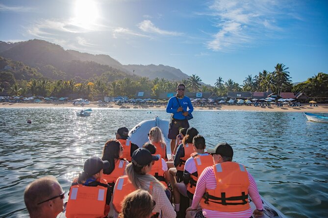 Sea Safari & Beach BBQ at secluded Pizota jungle beach - Speedboat South of Puerto Vallarta: what the day really feels like
