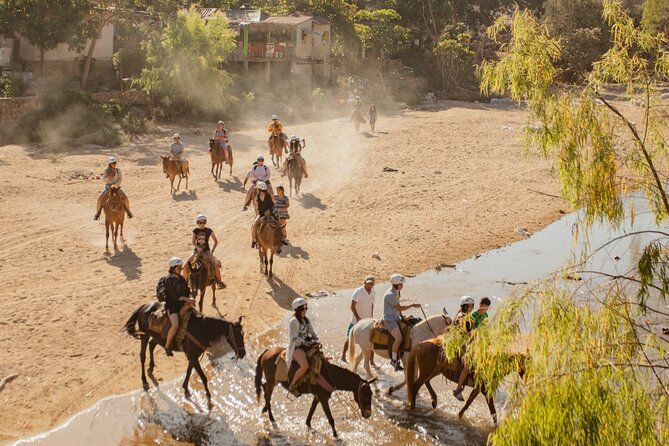 Sea Safari & Beach BBQ at secluded Pizota jungle beach - Yelapa beach time plus river-trail ride: how the horseback moment works