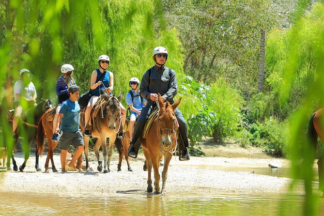 Sea Safari & Beach BBQ at secluded Pizota jungle beach - How active is this tour, really?