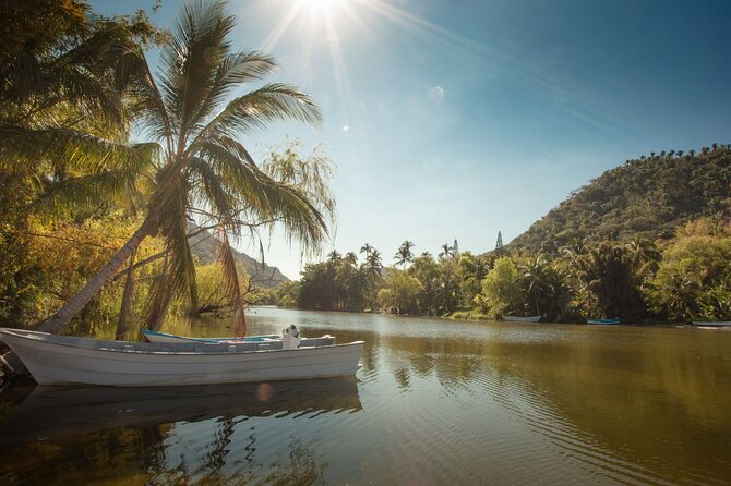 Sea Safari & Beach BBQ at secluded Pizota jungle beach - Bay of Banderas cruise: the trip that makes the tour worth it