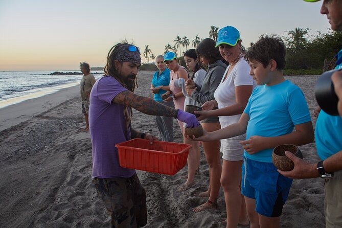 Sea Turtle Release – A Puerto Vallarta Conservation Adventure - Who should book: families, couples, and the walk-readiness check
