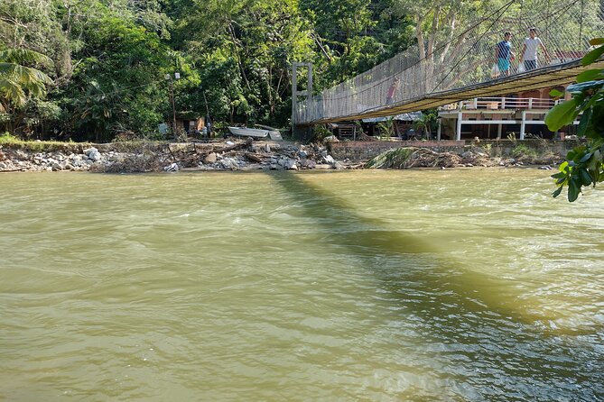Selva y Playas Exóticas, Senderismo en Puerto Vallarta - Return by boat: your legs get a break, and you might see more