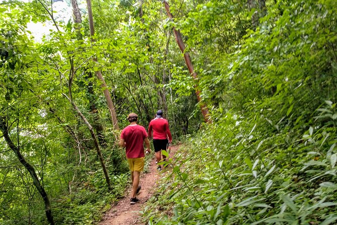 Selva y Playas Exóticas, Senderismo en Puerto Vallarta - What’s included in the $55 price (and what you should budget for)