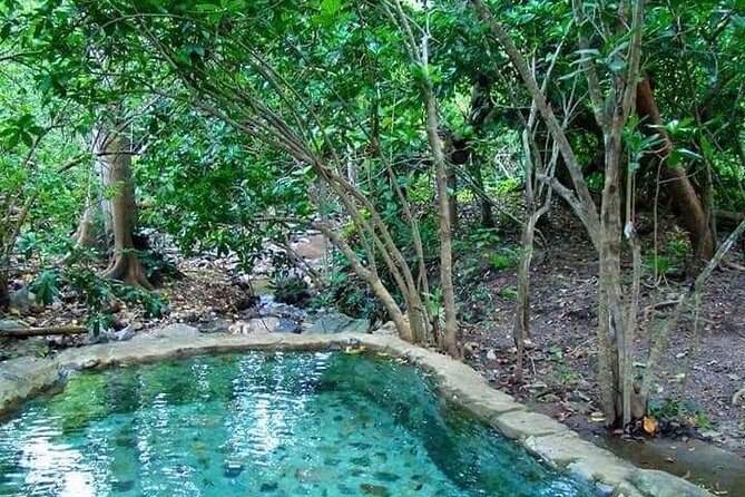 Shaded Hot Spring, Massage and Mex Grill in Puerto Vallarta - The perfect reason to leave Puerto Vallarta for a day