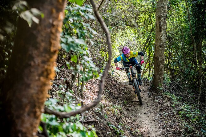 SINGLETRACK MOUNTAIN BIKE - Guided through the jungle - Picking the Right Trail: Malpaso Singletracks vs Punta Sayulita