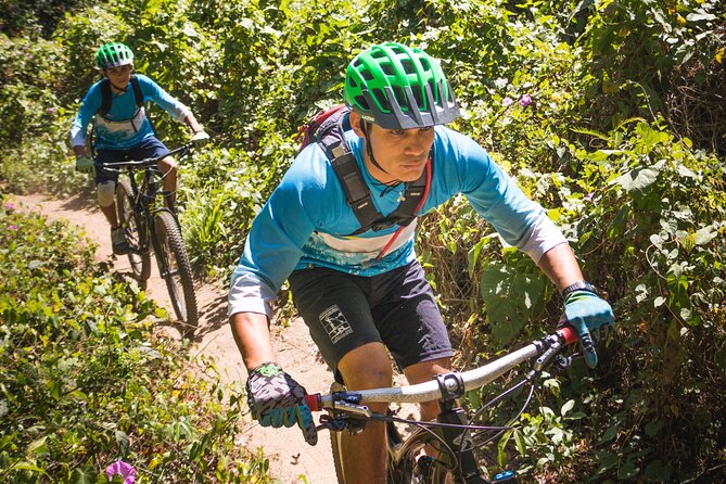SINGLETRACK MOUNTAIN BIKE - Guided through the jungle - How the Terrain Feels: Jungle Trails, Not a Vacation Sidewalk