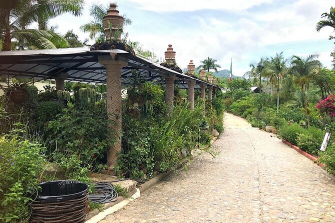 Skip the Line: Vallarta Botanical Garden Admission Ticket - Path of Flowers: A Simple Route Through Big Plant Energy