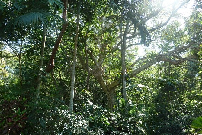 Skip the Line: Vallarta Botanical Garden Admission Ticket - Los Horcones River Swim: The Best Kind of Break
