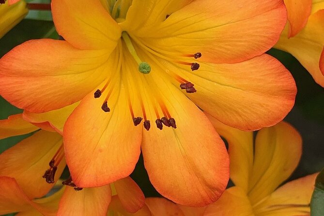 Skip the Line: Vallarta Botanical Garden Admission Ticket - Welcome Refreshment and the Little Details