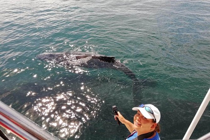 Small-Group Half-Day Whale-Watching Tour in Puerto Vallarta - Lunch and Soft Drinks: Included, and Actually a Good Part