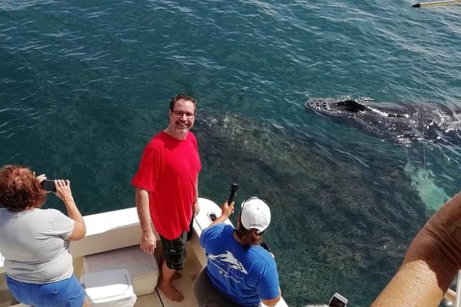 Small-Group Half-Day Whale-Watching Tour in Puerto Vallarta - Timing, Weather, and When to Book
