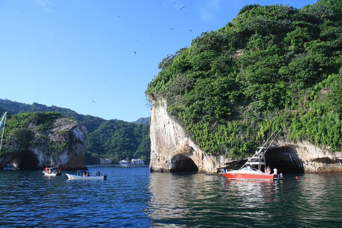 Small Group Snorkeling in Los Arcos, Puerto Vallarta - Key things to know before you go
