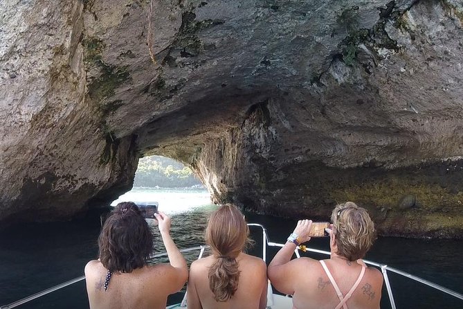 Small Group Snorkeling in Los Arcos, Puerto Vallarta - The guide + captain combo: Marine science, plus real-world safety