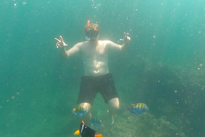 Snorkeling at Los Arcos 5 islands Hidden Beach and Cliff Jumping - Price and Value: What $44 Buys You Here