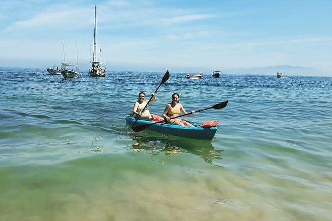 South Shore Private Sightseeing Cruise in Puerto Vallarta - Why the 26-foot La Vida Bella feels different from big boat tours
