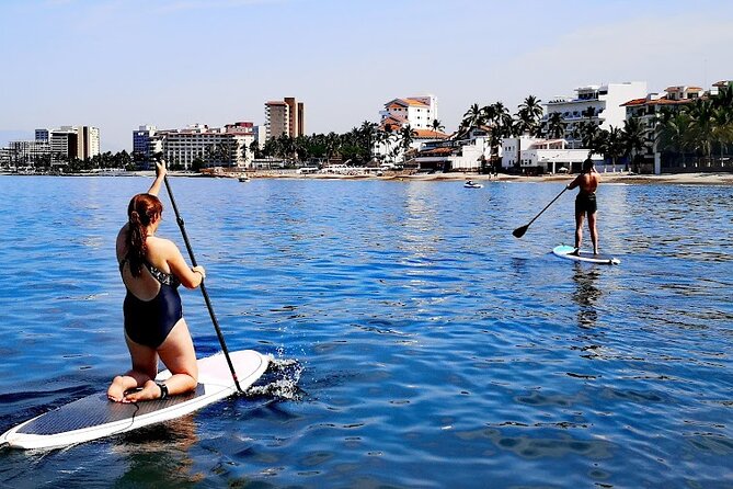 Stand Up Paddle Boarding Adventure in Puerto Vallarta - Puente Rio Cuale: A Bridge Crossing That Changes Your View