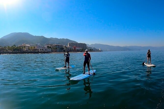Stand Up Paddle Boarding Adventure in Puerto Vallarta - Beginners, Choppy Water, and Why Sunrise Can Help