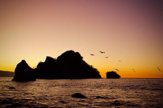 Sunset and Bioluminescence Boat Tour at Los Arcos Islands - What you’re paying for: price, inclusions, and real value