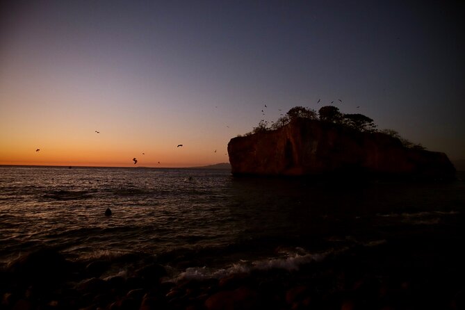 Sunset and Bioluminescence Boat Tour at Los Arcos Islands - Tips to make your glow night go smoother