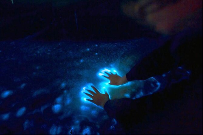 Sunset and Bioluminescence Boat Tour at Los Arcos Islands - Playa Mismaloya stop: a quick story before the boat ride