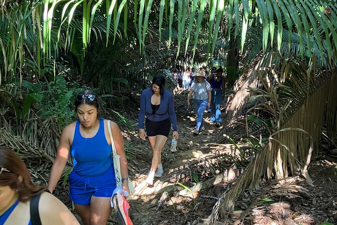Sunset Hike to a secluded Beach + Mexican snack - Viewpoint and the Sayulita Pantheon: Culture on the Way South