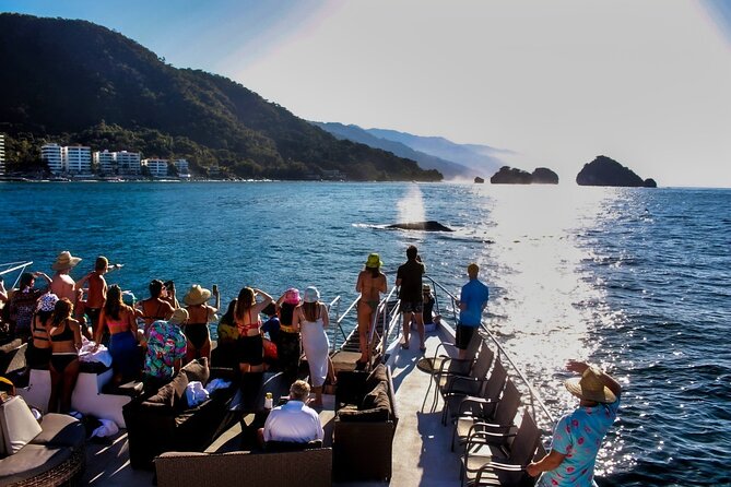 Sunsets and Whales Mega Yachts ALL INCLUSIVE: Puerto Vallarta - Bay of Banderas: how the whale-hunt usually plays out