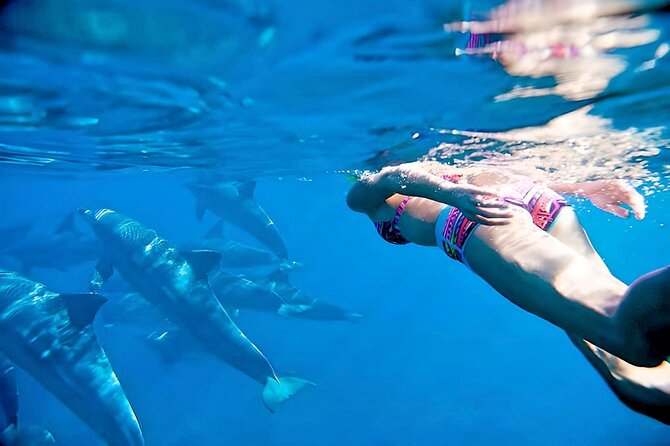 Swim and Paddle Board with Wild Dolphin Pods in Puerto Vallarta - Quick highlights: what makes this wild dolphin paddle trip click