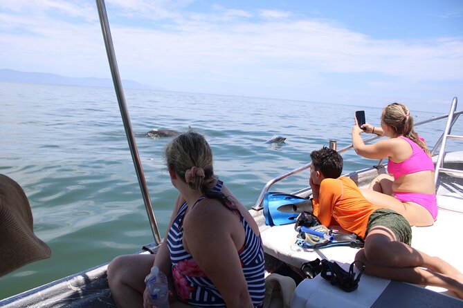 Swim and Paddle Board with Wild Dolphin Pods in Puerto Vallarta - Meeting at Los Muertos Pier: start time and the first reality check