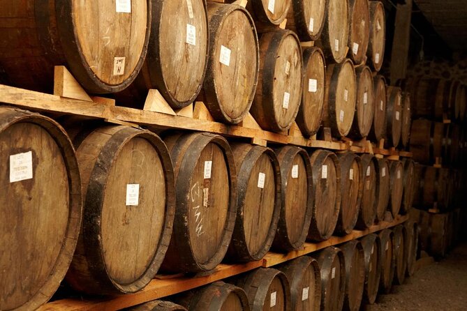 Tequila Jalisco Full Day Tour from Puerto Vallarta - Key highlights at a glance