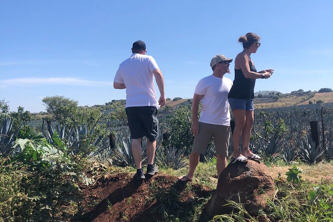 Tequila Jalisco Full Day Tour from Puerto Vallarta - From Puerto Vallarta: a calm way to reach Tequila