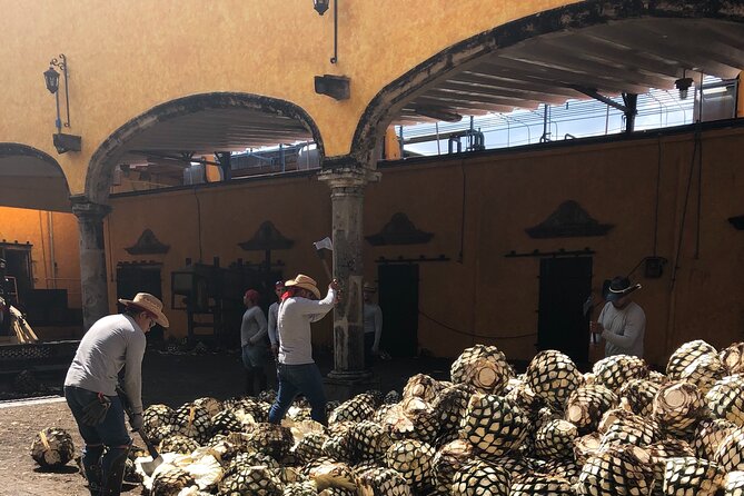 Tequila Jalisco Full Day Tour from Puerto Vallarta - El Tequileño distillery tour and tasting