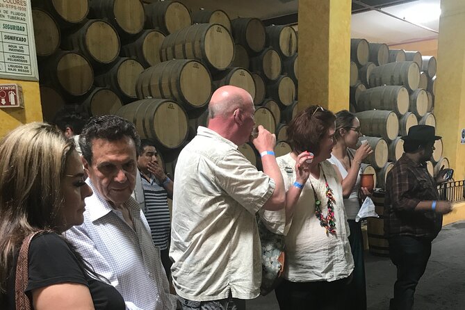 Tequila Jalisco Full Day Tour from Puerto Vallarta - Who should book this tequila tour (and who might skip it)