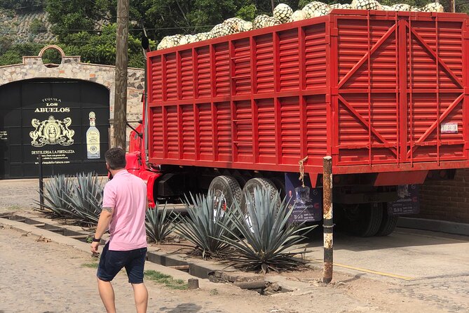 Tequila Jalisco Full Day Tour from Puerto Vallarta - Should you book Tequila Jalisco Full Day Tour from Puerto Vallarta?